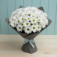 Букет цветов из:  Хризантемы в Курске