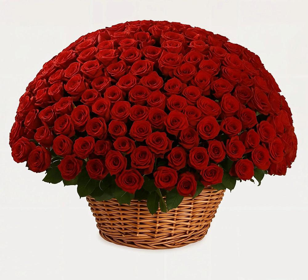 251 Премиум красная роза в Курске Премиум букет из: Розы в Курске