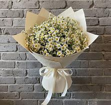 Букет цветов из:  Ромашки #REPLACE_PRED# Курске