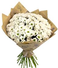 Букет цветов из:  Хризантемы #REPLACE_PRED# Курске