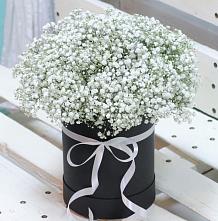 Цветочная композиция из Гипсофила в шляпной коробке в Курске