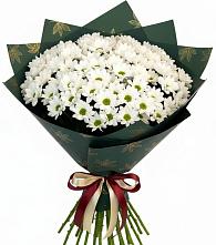 Букет цветов из:  Хризантемы #REPLACE_PRED# Курске
